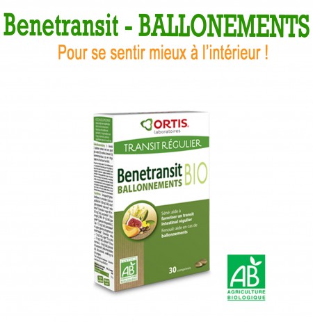 BENETRANSIT BALLONNEMENT BENETRANSIT BALLONNEMENT