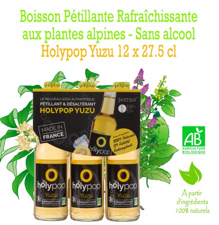 HOLYPOP YUZU X12