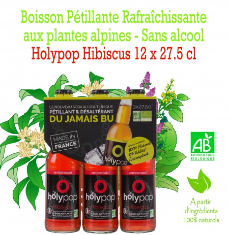 HOLYPOP HIBISCUS X12