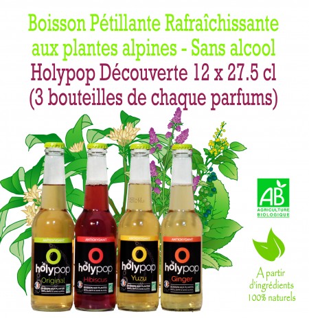 HOLYPOP DECOUVERTE X12