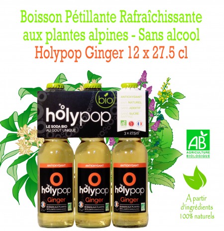 HOLYPOP GINGER X12