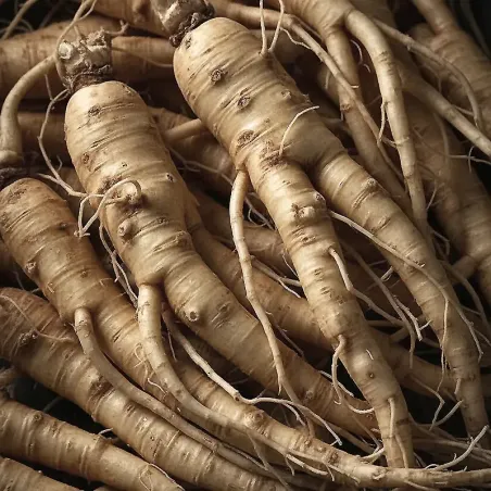 Complément alimentaire énergie Kario