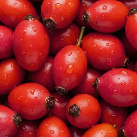 Complément alimentaire énergie Kario