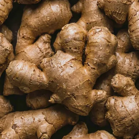 Complément alimentaire énergie Kario