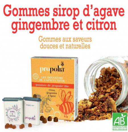 GOMMES SIROP AGAVE GINGEMBRE CITRON