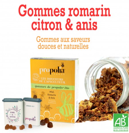 GOMMES ROMARIN CITRON ANIS
