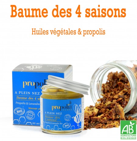 BAUME DES 4 SAISONS
