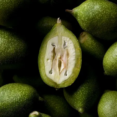 Complément alimentaire équilibre Kario