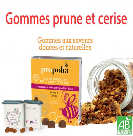 Gommes Prune et Cerise