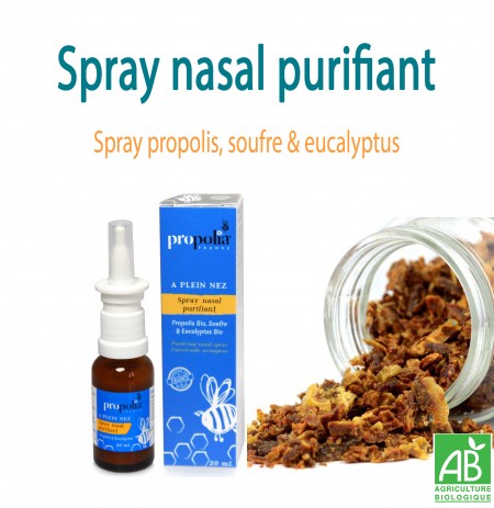 Spray nasal