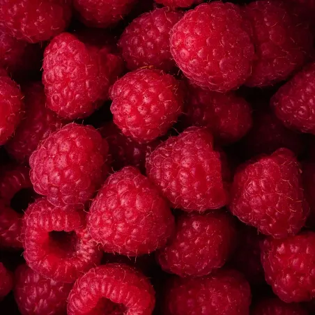 Complément alimentaire ménopause KARIO