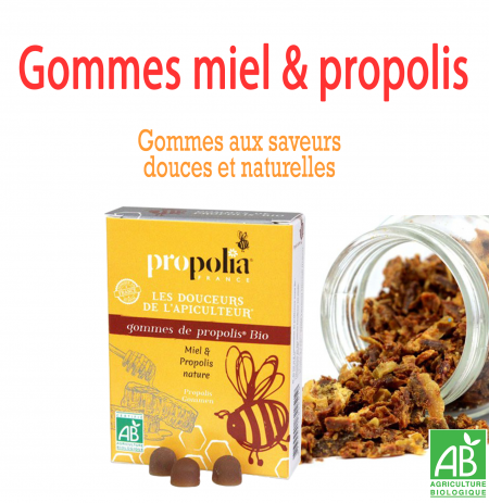 Gommes Bio Miel & Propolis nature 45g