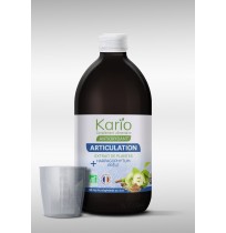 Kario Articulation Bio 50cl