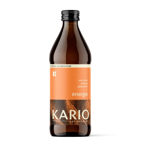 Kario Energie 33cl